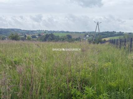 33 ary, Michałowice-Wilczkowice