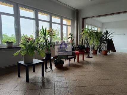 Wawer lokal biurowy 33,30m2 do wynajęcia