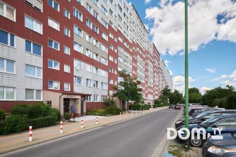 Tylko 20 i 25.08., piwnica, osiedle Kopernika