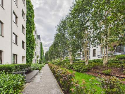 Do wynajęcia wyjątkowy 3-pokojowy apartament na os. Eko Park