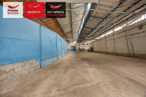 Hala 1800 m2 w Pakości - Produkcja Magazyn Biura