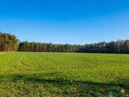 Śródborze   12,85 ha z WZ przy S7