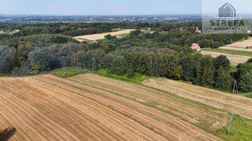 Duża działka budowlano-zagrodowa 37,75 ara - Poręba Radlna k....