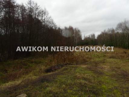 Działka rolna na sprzedaż, 15362 m2, Skierniewice