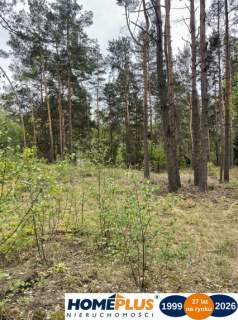 Działka w lesie 2064 m - letniskowa i całoroczna