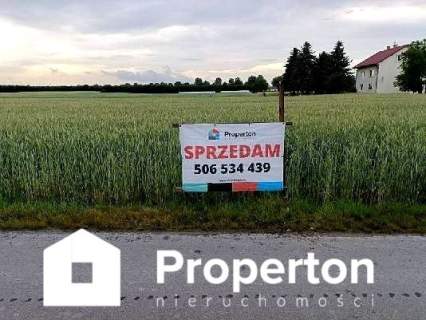 Działka w Ziółkowie