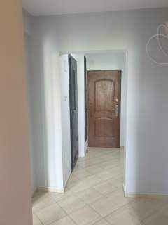 Wynajmę M1 Wrzosowiak