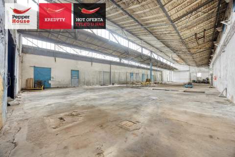 Hala 1800 m2 w Pakości - Produkcja Magazyn Biura