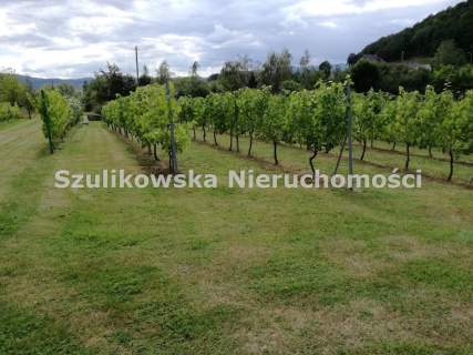 Działka budowlana na sprzedaż, 2500 m2, Byczeń