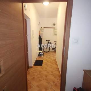 Saska Kępa ul. Wandy 37,5 m2 cegła wysoki parter