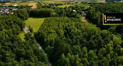 3 Działki budowlane w lesie Korytnica koło Chańczy