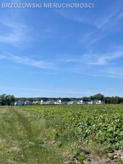 Wilanów, Powsin 3829, mieszkaniowa bliźniacza