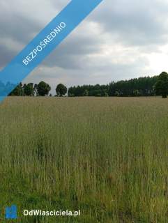 Sprzedam działkę budowlaną 1760m, Kownaty, gm. Płońsk ,WZ i Medi
