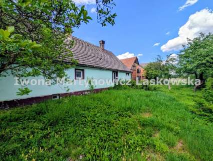 Siedlisko - 1,18 ha działka, Boraszyn, Gmina Wołów