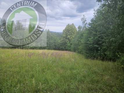 Działka budowlana na sprzedaż, 1000 m2, Jamnica
