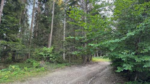 Działka leśna 20 700 m Kasina Wielka