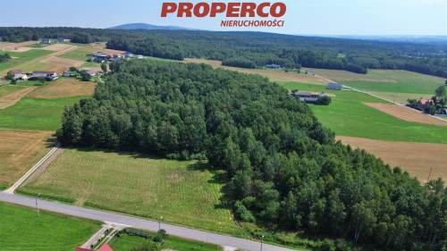 Działka pow. 30630 m2, Lechów, Bieliny