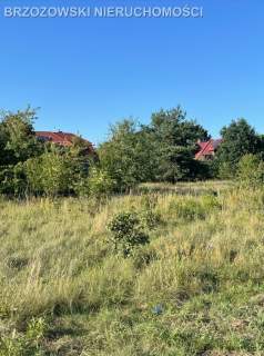 Wawer, Zerzeń, 835 m2, WZ, wolnostojący