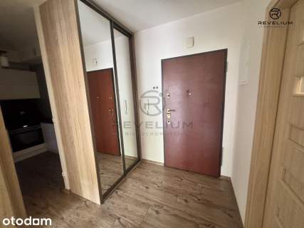 2 pokoje z widokiem na las Pohulanka