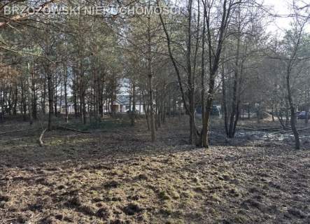 Jabłonna, Trzciany, 1610 m2, MPZP mieszkaniowa