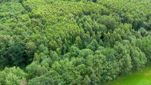 Działka siedliskowa na sprzedaż, 60200 m2, Nowe Mieczysławy
