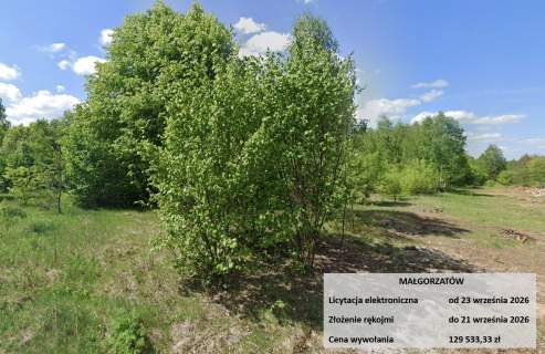 Licytacja komornicza, zalesiona, zabudowa zagrodowa