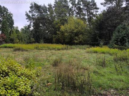 Wawer, dom 230 m2, działka 1184 m2, do remontu