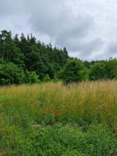 Działka budowlana Oleszno 1,04ha
