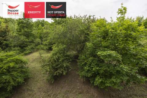 2 pokoje Orunia Blisko centrum Park Oruński