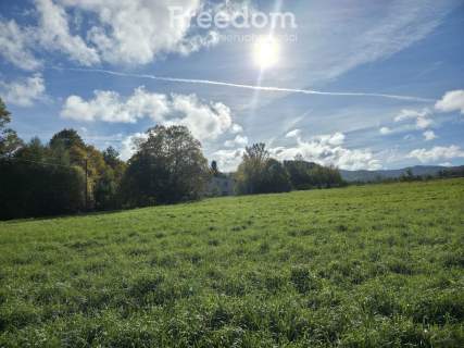 Działka budowlano-usługowa w Rzykach 743 m2
