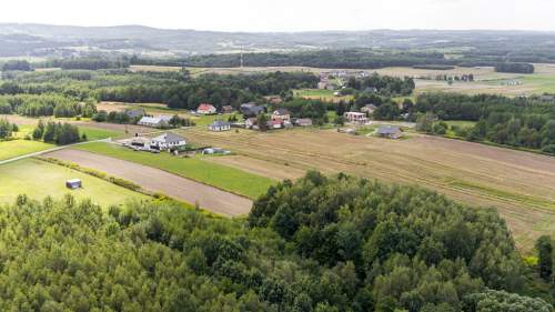 Działka leśna Łęki Dolne - gm. Pilzno 