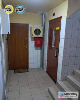 3 pokoje blisko lasu/do remontu/od zaraz