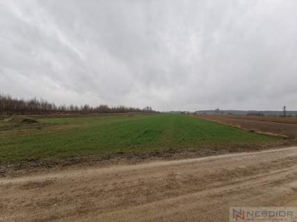 Działka na sprzedaż, 10040 m2, Gręzówka-Kolonia