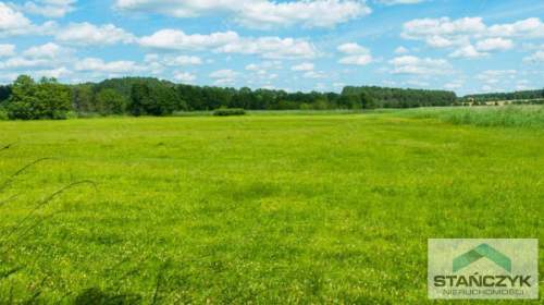 Działka Budowlana 4800m2 Ładzin