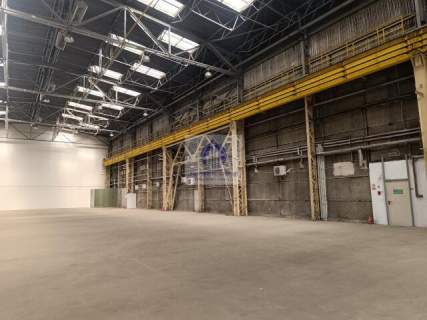 Bielany magazyn 1500 m2 na wynajem