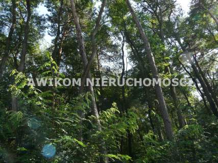 Działka budowlana na sprzedaż, 4020 m2, Olszanka