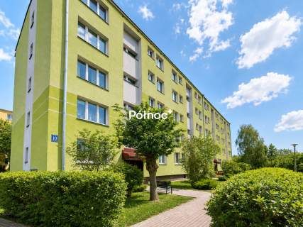 Na wynajem 2 pokoje w świetnej lokalizacji