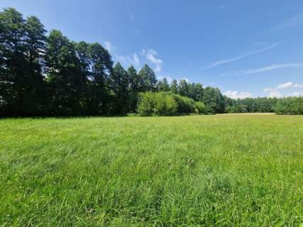 Działka inwestycyjna 1,11ha - Borysławice Zamk. sprzedam lub...