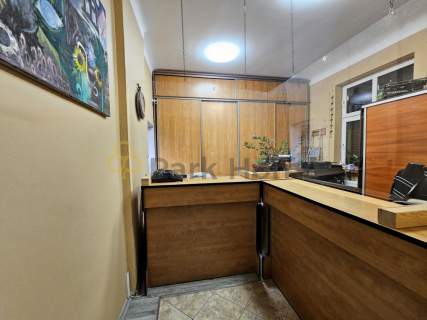 Dębiec Dom 240 m2, Magazyn 124 m , działka 801m2