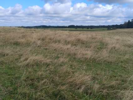 Mazury Puszcza Borecka Działka Rolna 12,4469 ha