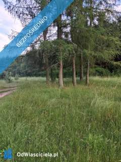 Działka budowlana, przy lesie, na sprzedaż, 800m2, 12 km od Kielc,...