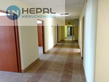 lokal do wynajęcia 294 m2, Centrum
