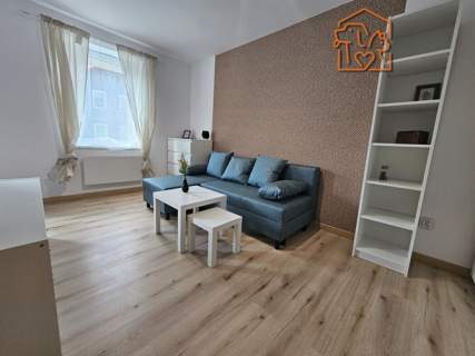 Przytulne 2 pokoje, pet-friendly - 11 Listopada115