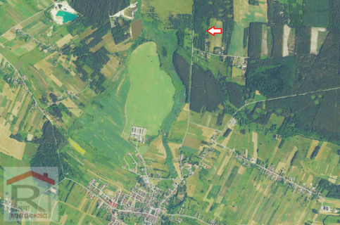 Działki w otoczeniu lasów