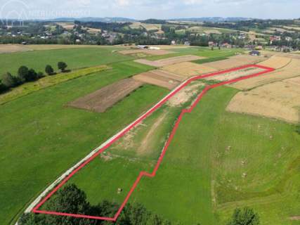 UROKLIWA DZIALKA 1,10 HA W JODŁOWEJ - OTOCZONA NATURĄ, Z P