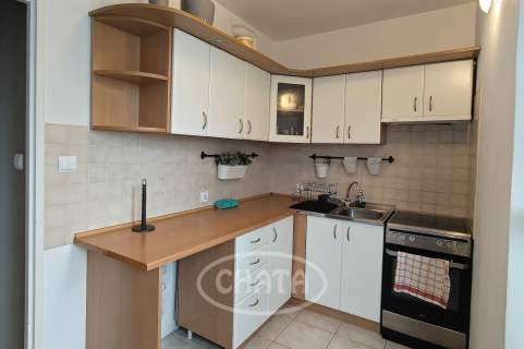 Mieszkanie do wynajęcia, 43 m2, Wrocław