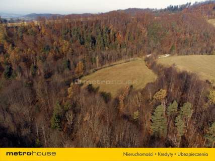 Działka rolna na sprzedaż, 20752 m2, Nowy Waliszów