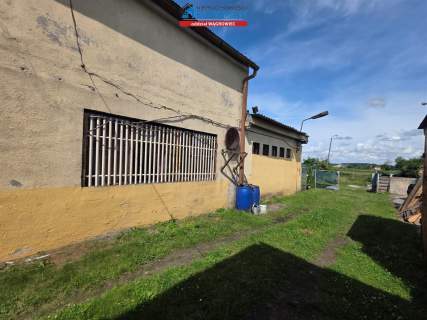 Magazyn do wynajęcia, 314 m2, Szamocin