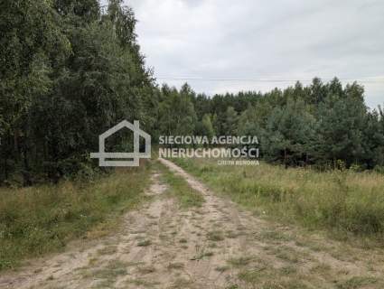 Działka siedliskowa 100.358m2, Jaroszewy/Skarszewy