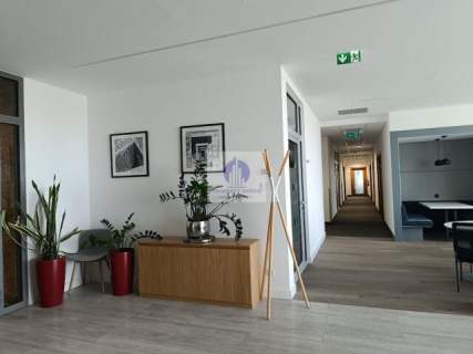 Ochota biurko w coworkingu do wynajęcia